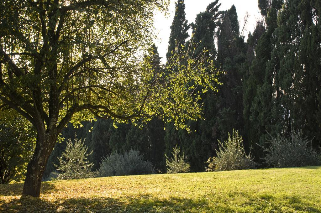 Villa Montaperti Monteaperti  Δωμάτιο φωτογραφία